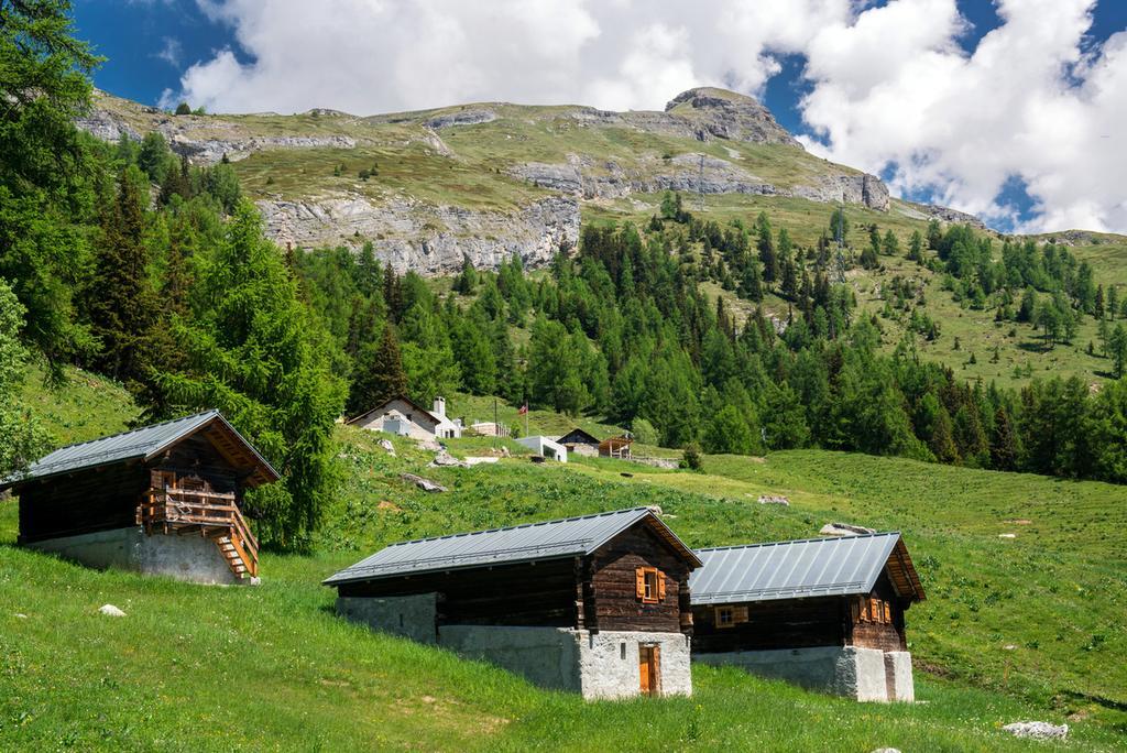 Le Mayen De Colombire Crans-Montana Exterior foto