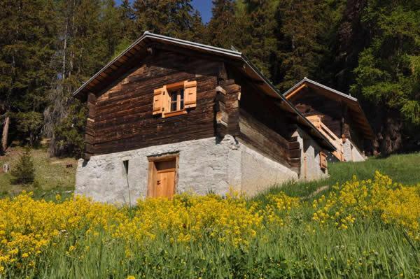 Le Mayen De Colombire Crans-Montana Exterior foto