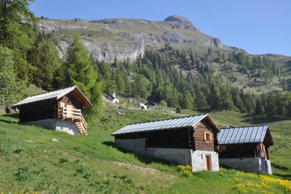 Le Mayen De Colombire Crans-Montana Exterior foto